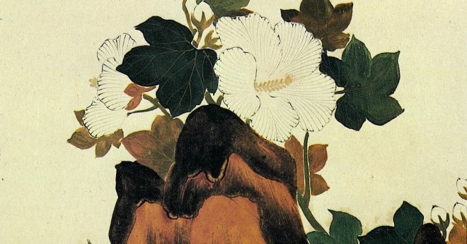 'Hibiscus Flowers and Rock by Shibata Zeshin